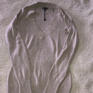 Express v neck sweater